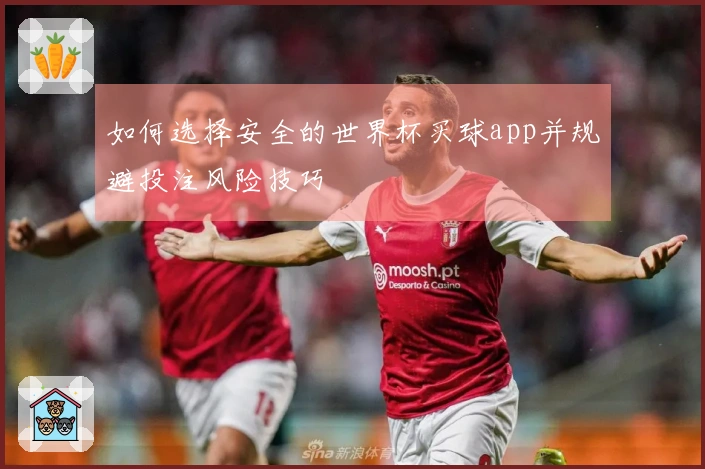 如何选择安全的世界杯买球app并规避投注风险技巧