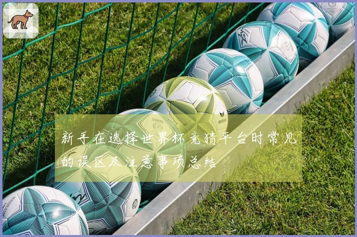新手在选择世界杯竞猜平台时常见的误区及注意事项总结