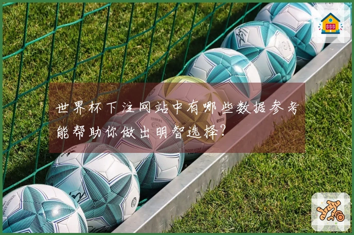 世界杯下注网站中有哪些数据参考能帮助你做出明智选择？