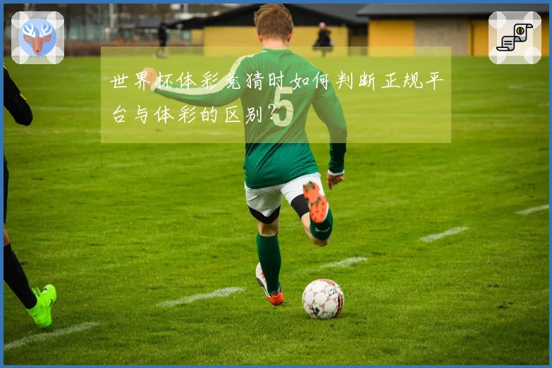 世界杯体彩竞猜时如何判断正规平台与体彩的区别？