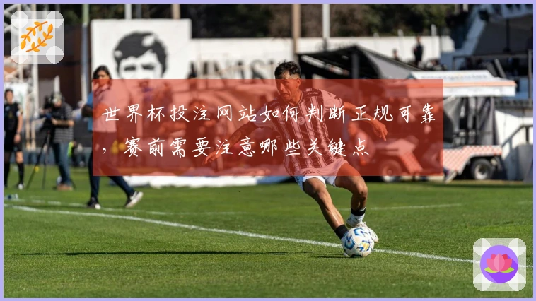 世界杯投注网站如何判断正规可靠，赛前需要注意哪些关键点