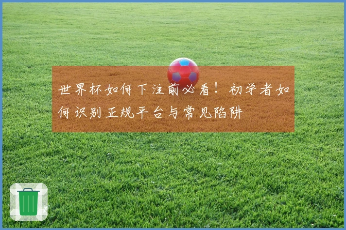 世界杯如何下注前必看！初学者如何识别正规平台与常见陷阱