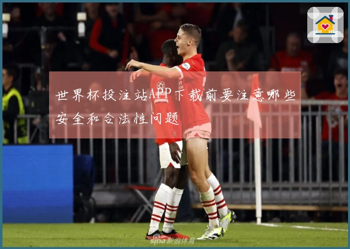 世界杯投注站APP下载前要注意哪些安全和合法性问题