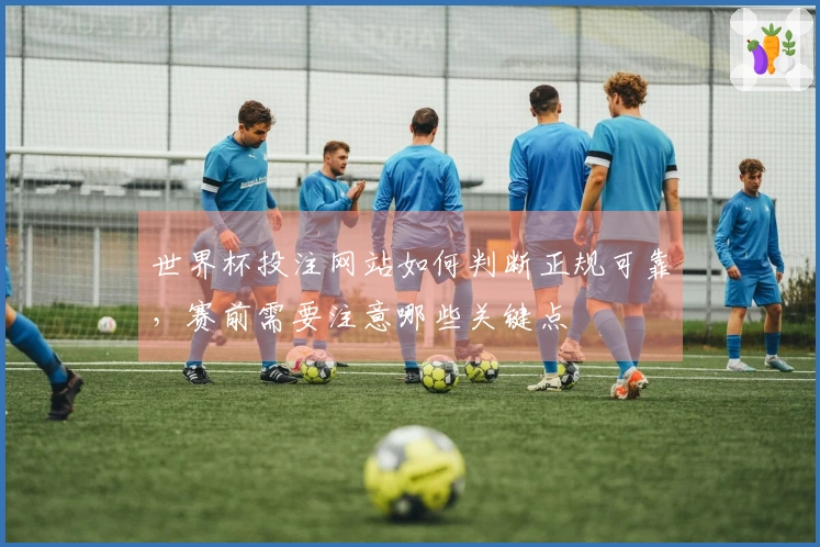 世界杯投注网站如何判断正规可靠，赛前需要注意哪些关键点