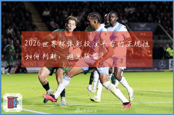 2026世界杯体彩投注平台的正规性如何判断，避免踩雷？
