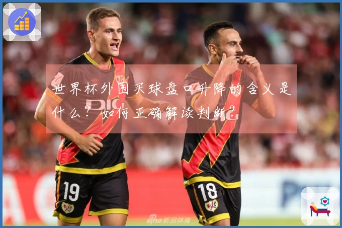 世界杯外围买球盘口升降的含义是什么？如何正确解读判断？