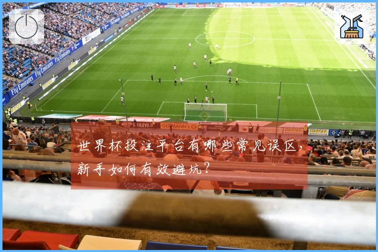 世界杯投注平台有哪些常见误区，新手如何有效避坑？