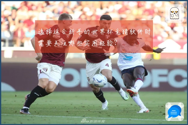 选择适合新手的世界杯竞猜软件时需要关注哪些实用经验？