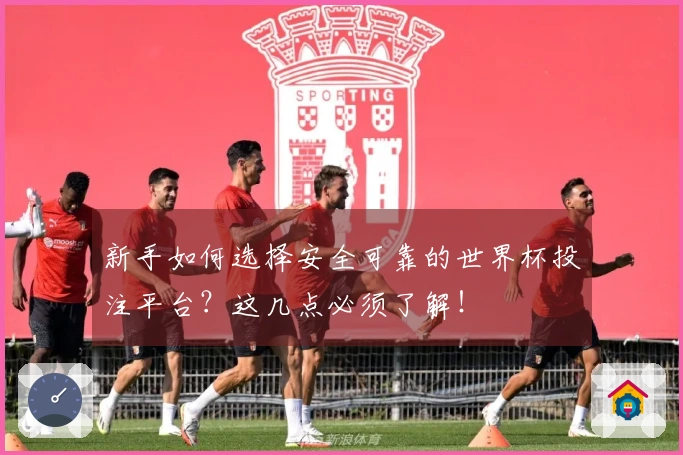 新手如何选择安全可靠的世界杯投注平台？这几点必须了解！