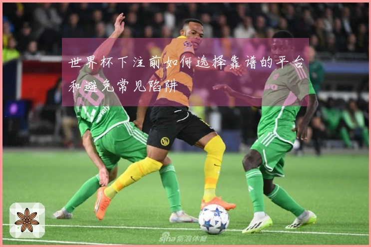 世界杯下注前如何选择靠谱的平台和避免常见陷阱