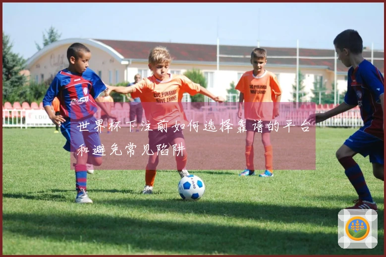 世界杯下注前如何选择靠谱的平台和避免常见陷阱
