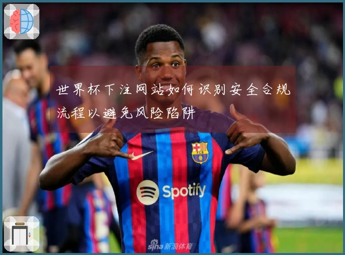 世界杯下注网站如何识别安全合规流程以避免风险陷阱