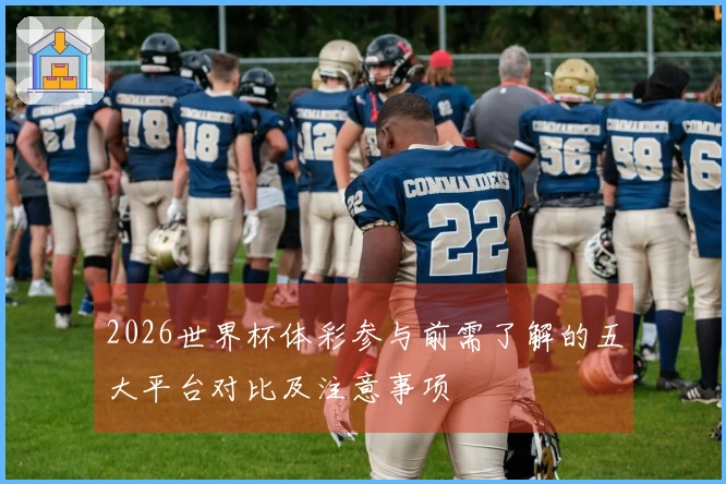 2026世界杯体彩参与前需了解的五大平台对比及注意事项