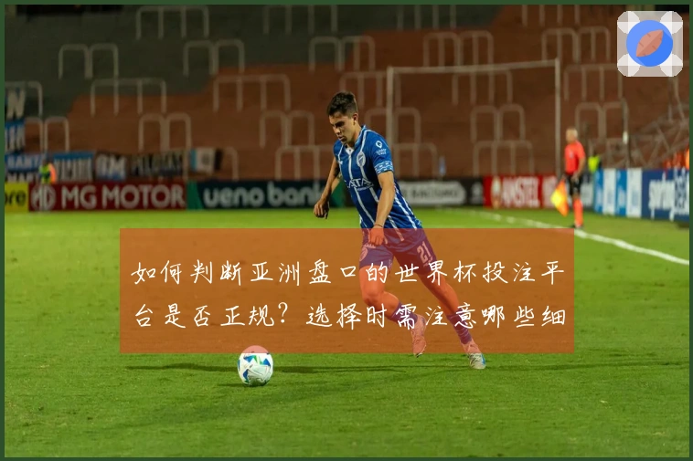 如何判断亚洲盘口的世界杯投注平台是否正规？选择时需注意哪些细节？