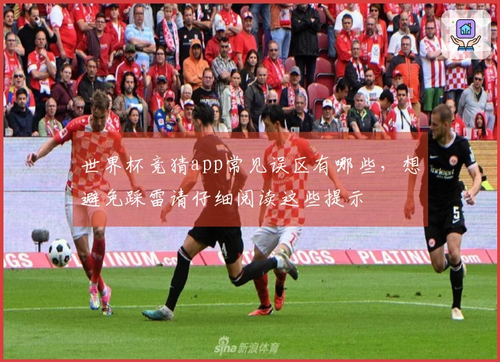 世界杯竞猜app常见误区有哪些，想避免踩雷请仔细阅读这些提示