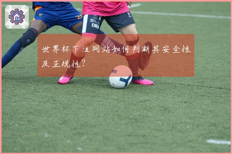 世界杯下注网站如何判断其安全性及正规性？