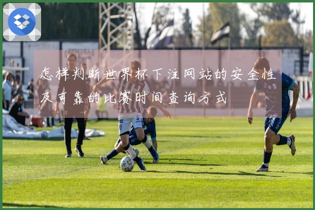 怎样判断世界杯下注网站的安全性及可靠的比赛时间查询方式