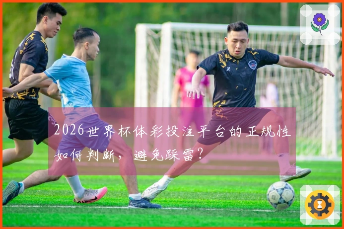 2026世界杯体彩投注平台的正规性如何判断，避免踩雷？