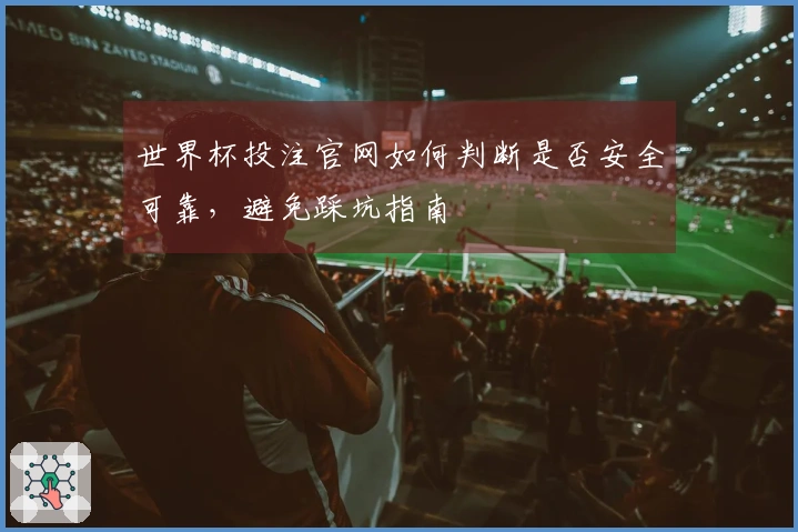 世界杯投注官网如何判断是否安全可靠，避免踩坑指南