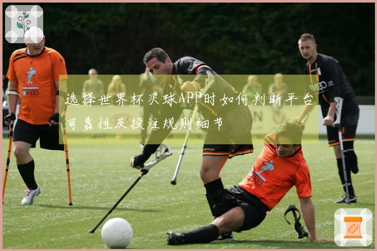 选择世界杯买球APP时如何判断平台可靠性及投注规则细节